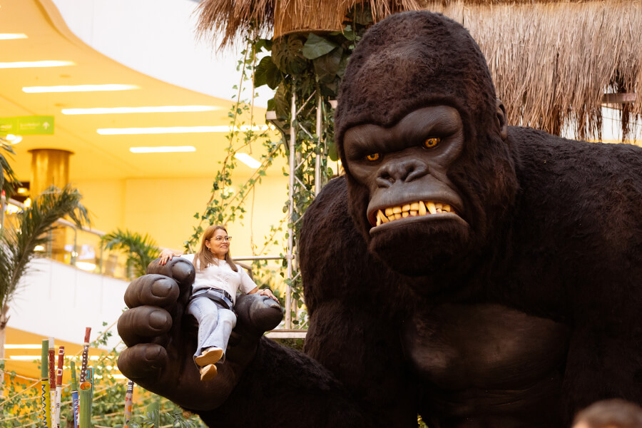 gorila-congo-6
