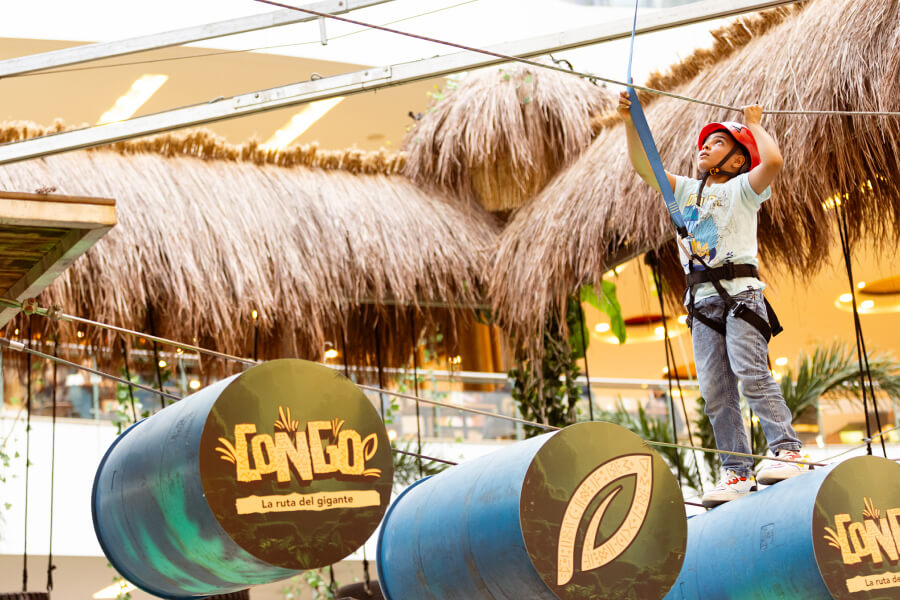 rope-course-congo-2