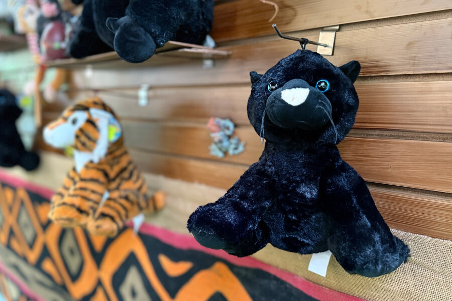 tienda-congo-2