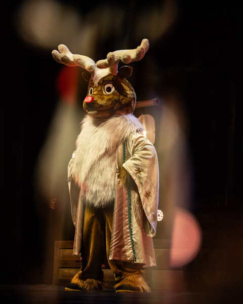 rudolf-350-el-tesoro-1