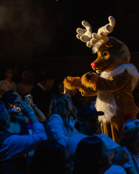 rudolf-350-el-tesoro-3